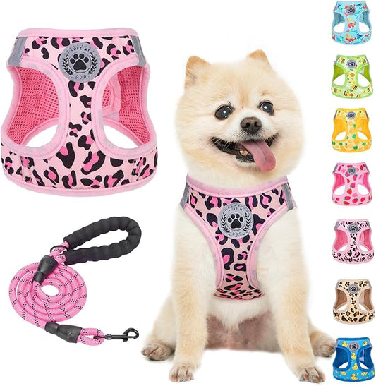 BEAUTYZOO Step in Dog Harness and Leash Set,Reflective Dog Harness No Pull No Choke Puppy Harness for Small Medium Large Dogs Cats,Soft Padded Mesh Vest Harnesses for Girl and Boy Pet,Leopard Pink XS
