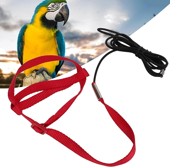 Elastic Parrot Harness Leash Bird Leash Bite Proof Harness Adjustable Parrot Flying Training Rope with Metal Hook Nylon Webbing for Cockatiels Walking (S)