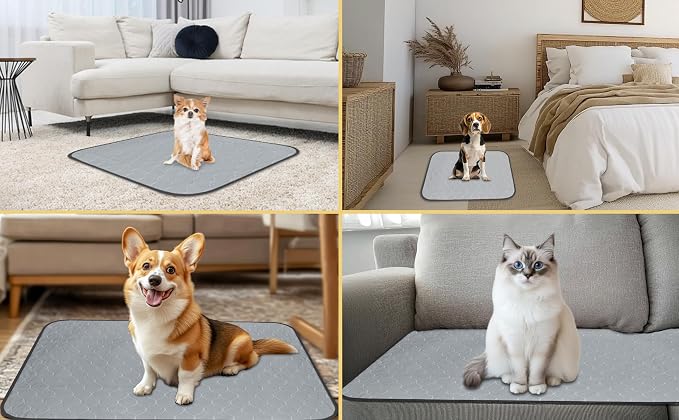 DAHAPYBOO Extra Large Washable Pee Pads for Dogs 36x48,4 Pack | Reusable Puppy Pads for Dogs Non-Slip Waterproof Pet Training Pads for Crate, Playpen, Bed, Sofa,Whelping Box, Potty Training