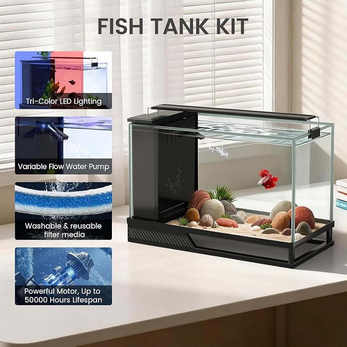 Fish Tank Kit Starter Aquariums 4 Gallon with Bottom Drainage | For small tropical fish, guppies, or betta|with Light and Filter Pump|Multi-stage filtration