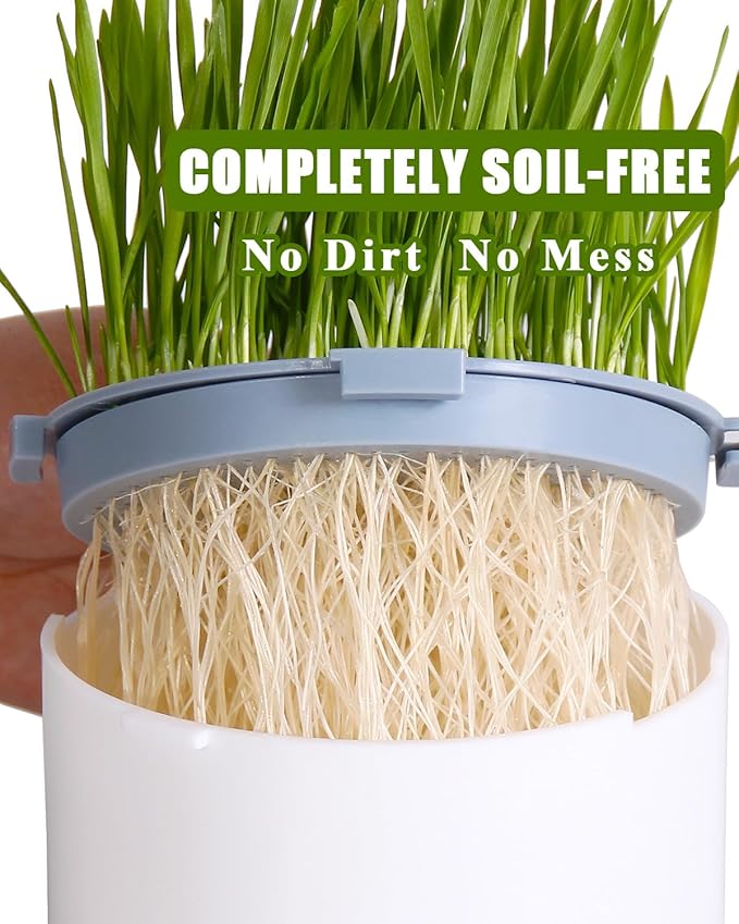 2Pcs Hydroponic Cat Grass Planter (no Seeds Included), Soil Free, Anti Digging, Anti Grass Uprooted, Wheatgrass Growing Kit, Cat Grass for Indoor Cats Pets (2)
