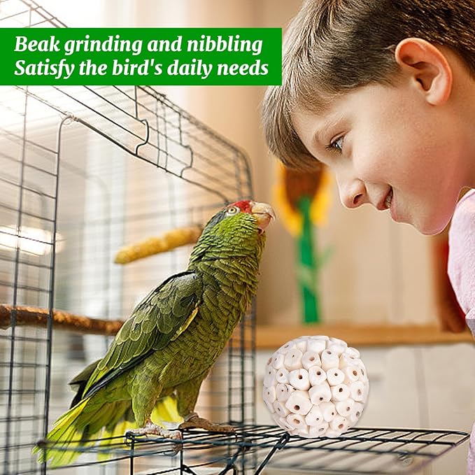 12 Pieces Bird Parrot Chew Toy Sola Balls, Natural Parrot Soft Chew Shredding & Foraging Toy, Bird Foot Balls for Cockatiel Conure Quaker Budgie Parakeet Bunny Guinea Pig Chinchilla Rabbit