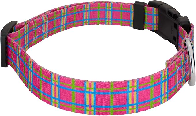 Country Brook Petz - Bubblegum Pink Plaid Everyday Collar and Leash - Plaid and Argyle Collection Featuring Charming Designs (1/2 Inch, 2XS)