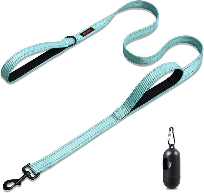 Heavy Duty Dog Leash With Double Handle - Reflective Training Lead for Medium to Large Breeds (5FT, Lake Blue)