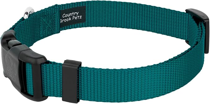 Country Brook Petz - Everyday Nylon Dog Collar and Leash - 10+ Cool Colors (3/4 Inch, Small, Teal)
