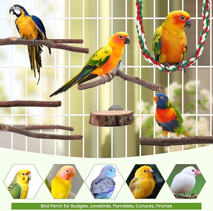 9PCS Apple Wood Bird Perches, Natural Parrot Stand & Chewing Toy with Multi-Branch, Straight Perch Stand, Platform & Climbing Rope, Cage Accessories for Parakeets, Cockatiels, Budgies