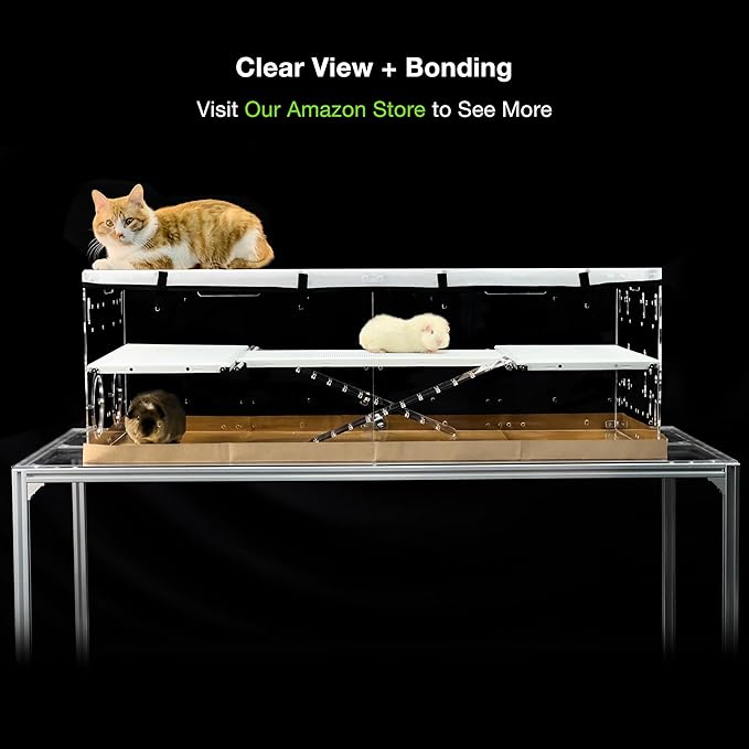 GuineaLoft™ Model-A3Loft Two-Level Acrylic Guinea Pig Cage w/ 2nd Floor Loft, Ramps, Beams & Gauze Lid, Large 4ft(L) x 2ft(W) x 1.3ft(H) Expandable C&C Cage, Works Also for Bunnies, Quails, Hedgehogs