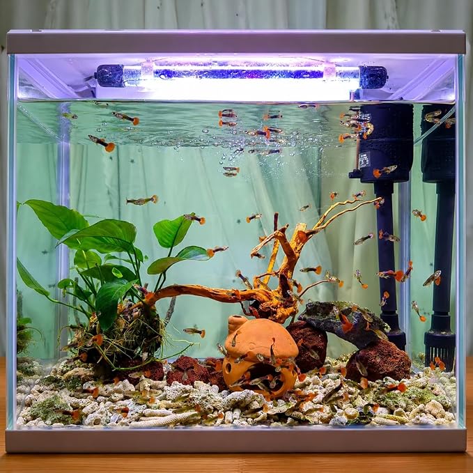emours Spider Wood for Aquarium, Natural Driftwood for Fish Tank Decor, Aquascape Wood for Freshwater Aquarium & Reptile Habitat (8-12 Inch / 20-30 cm)