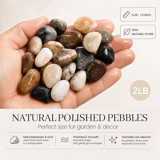 DOMESTAR River Rocks for Landscaping, 2LB Decorative Ornamental Pebbles | Garden Landscaping Stones Gravel for Vases Fish, Tank Succulent Potted Indoor Plants Crafts, Home Garden Decor