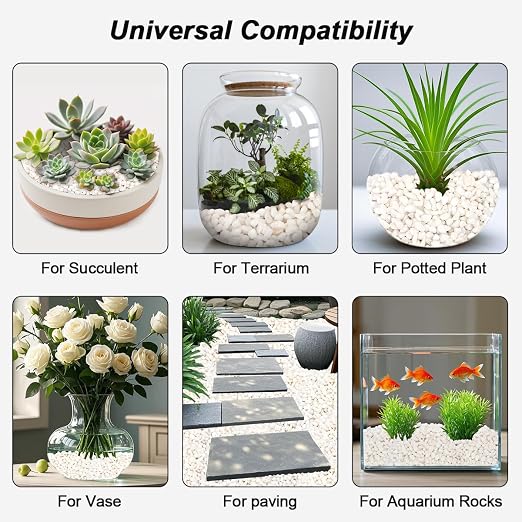 Landscaping Pebbles, White River Rocks, Ornamental Decor Stones, 5 Pounds | Ornamental Gravel Filler For Flower Bed, Fish Tank, Plants, Vases, Succulents, Home & Garden Landscaping Decoration