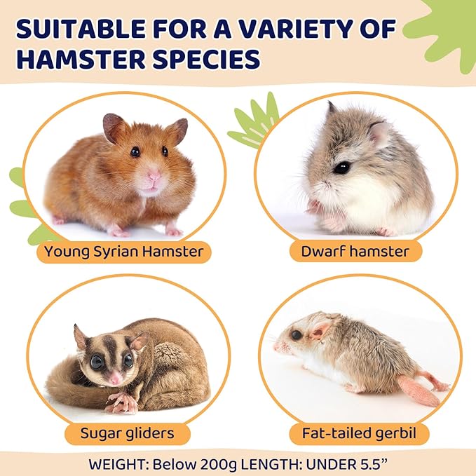 CypherX Wooden Hamster Hideout Hamster Toys Small Animals Cage Accessories for Hammie and Other Small Pets