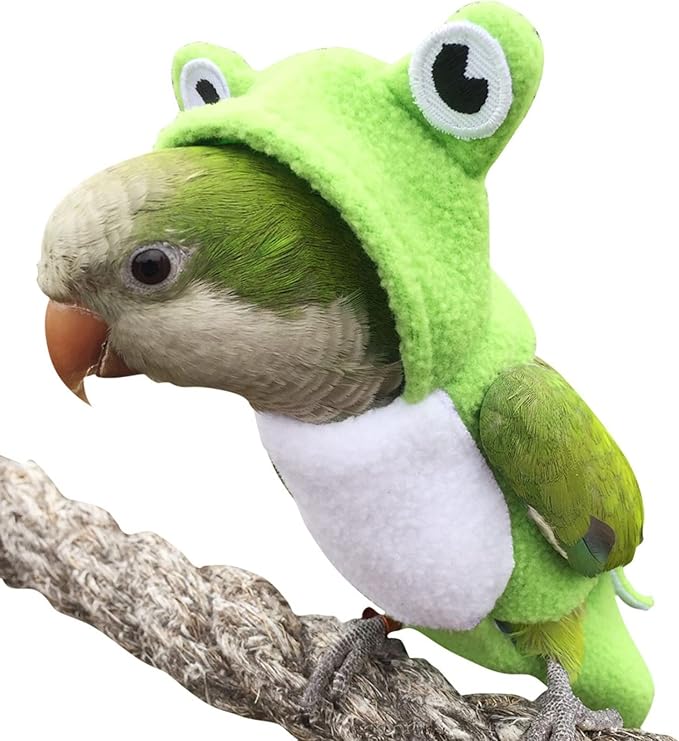 Bird Diaper Flight Suit Frog Shape Hoodie - Bird Clothes Cosplay Photo Prop for Parrots, Parakeet, Cockatiel & Sun Conure - Green with Diaper, Small
