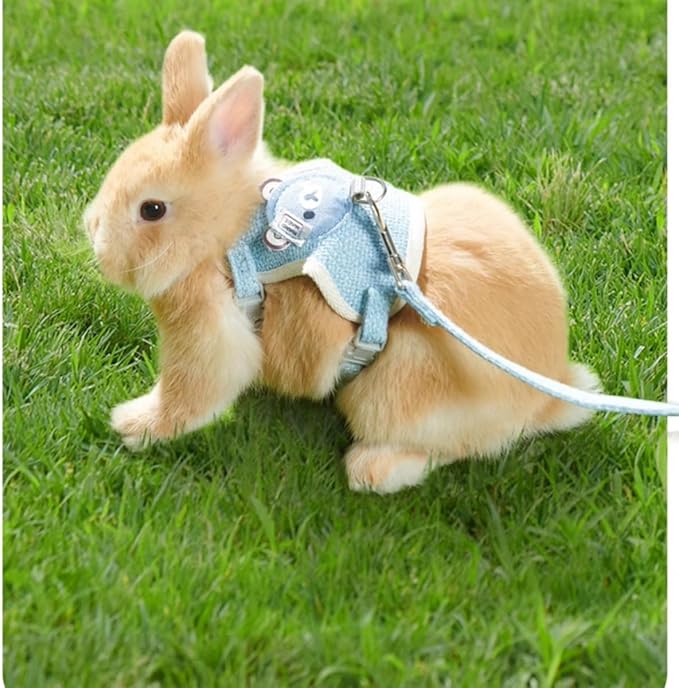 Rabbit Harness and Leash Set Adjustable Bunny Harness Leash Ferret Harness Guinea Pig Harness Ferret Leash for Small Pets Walking Outdoor (Small,Pink)