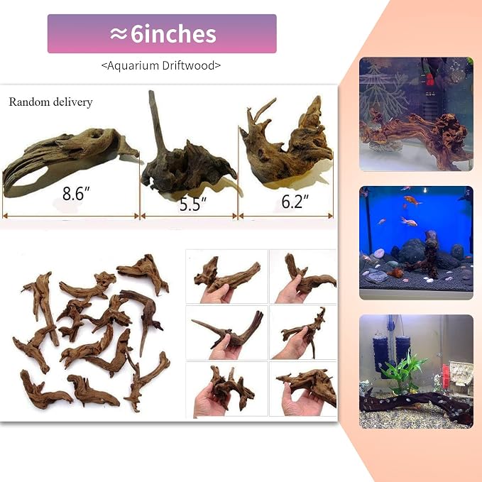 Hamiledyi 5 Pcs Driftwood Branches Aquarium Wood Decoration Natural Fish Tank Habitat Decor Wood for Lizard Assorted Size-Small