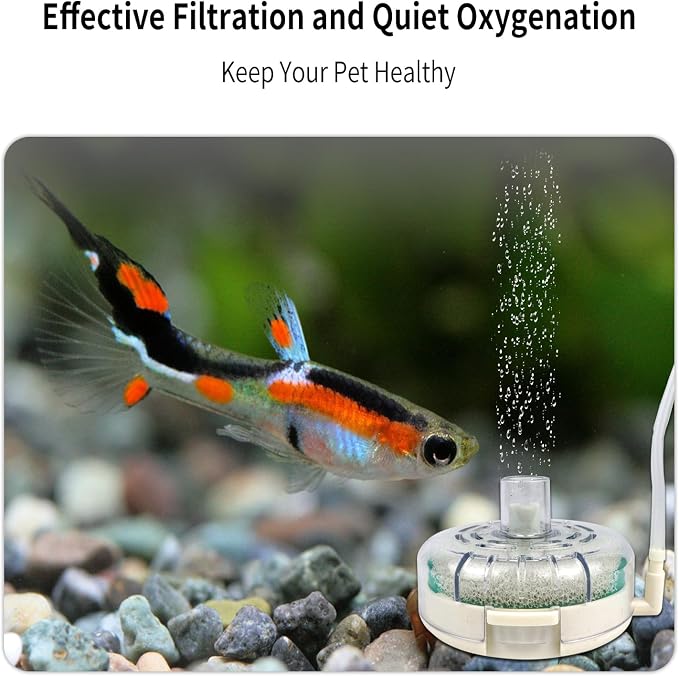 Small Aquarium Sponge Filter, Small Fish Tank Filter & Mini Submersible Fish Filter Built-in Air Bubble Stone and Bio Sponge for Fish Tanks up to 5 Gallon (Air Pump Not Included)