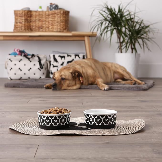 Bone Dry Lattice Collection Pet Bowl & Canister, Small Set, 4.25x2", Black, 2 Piece
