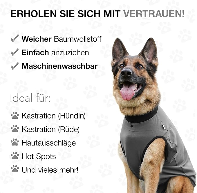BellyGuard Dog Surgery Recovery Suit, Dog Onesie for Post-Op Care, Recovery Apparel for Female and Male, Surgical Body Cover for Canine Healing Support