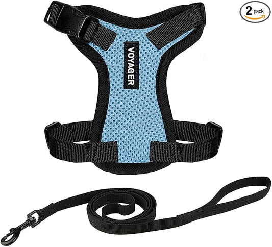 Voyager Escape-Proof Step-in Lock Cat Harness & 5ft Neoprene-Handle Leash Set All-Weather Mesh with Reflective Stitching for Small to Large Cats by Best Pet Supplies, Baby Blue/Black Trim, XXS