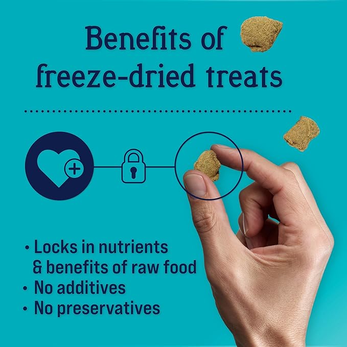 Stewart Freeze Dried Dog Treats, Zen Beef & Pumpkin, Anxiety Relief, Grain Free, 4 Ounce Resealable Pouch, Made in USA