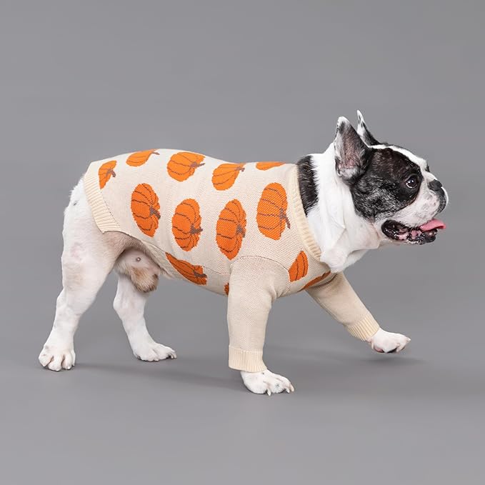 Fitwarm Pumpkin Dog Sweater, Thanksgiving Outfit for Small Dogs Boy Girl, Pet Outfit, Orange, Beige, XL