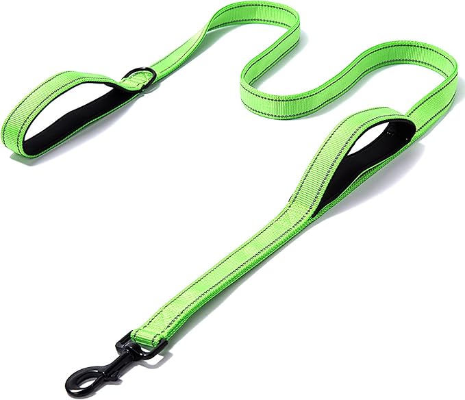 Heavy Duty Dog Leash - 2 Handles by Padded Traffic Handle for Extra Control, 6foot Long - Perfect for Medium to Large Dogs (6 ft, Bright Green)