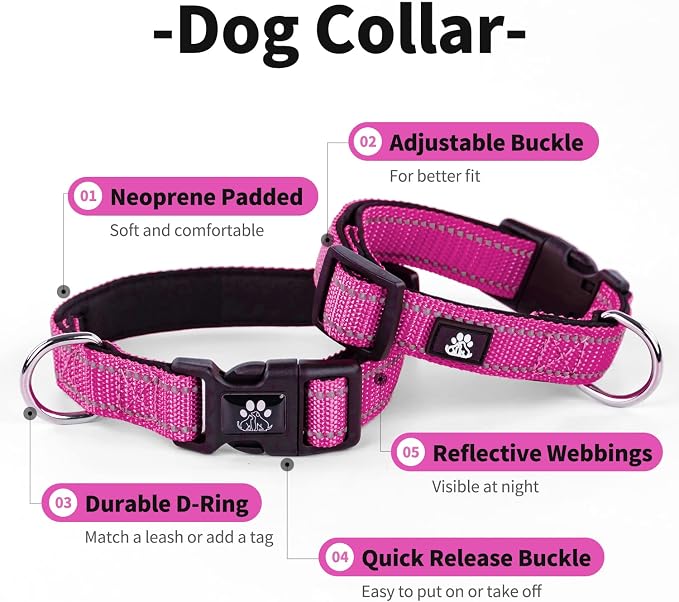 IVY&LANE Reflective Dog Collar and Leash Set,Adjustable Neoprene Padded Dog Collars, Breathable Nylon Pet Collar for Small Medium Large Dogs (Large,Fuchsia Pink)