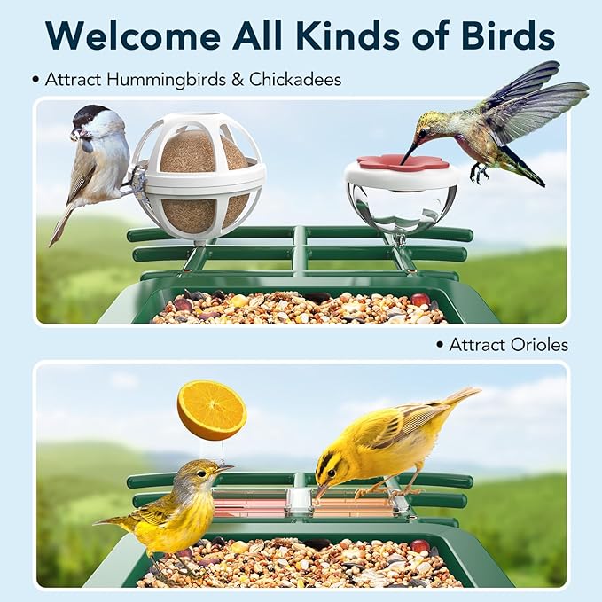 PeckCam Bird Feeder with Camera Solar Powered, AI Identify & Auto Capture with 32GB Card, 2K HD Live Video Smart Bird Feeder Camera Instant Notifications in Backyard, Gift for Bird Lovers