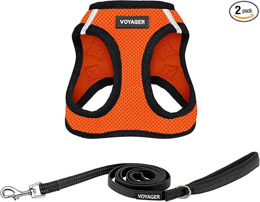 Best Pet Supplies Voyager Step-in Air All Weather Mesh Harness and Reflective Dog 5ft Leash Combo with Neoprene Handle, for Small, Medium and Large Breed Puppies - Orange/Black Trim, X-Small