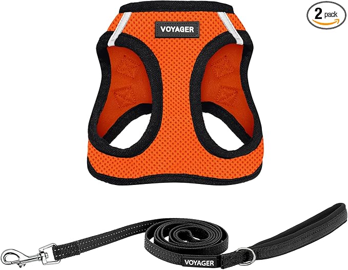 Best Pet Supplies Voyager Step-in Air All Weather Mesh Harness and Reflective Dog 5ft Leash Combo with Neoprene Handle, for Small, Medium and Large Breed Puppies - Orange/Black Trim, Large