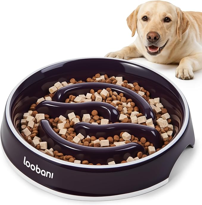 LOOBANI Ceramic Slow Feeder Dog Bowl for Large Dogs 10.2" W- Slow Eating, Perfect for Labradors, Goldens & Huskies for Medium & Large Dogs (L, Purple)