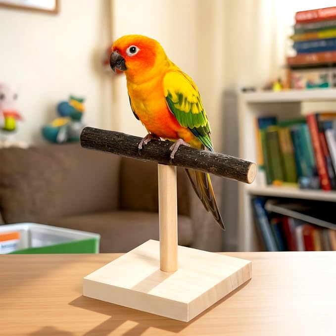 Bird Perch Stand Bird Training Stand Portable Tabletop Parrot Stands Natural Wood Parakeet Perches for Parakeets Cockatiels Conures Macaws Finches Lovebirds