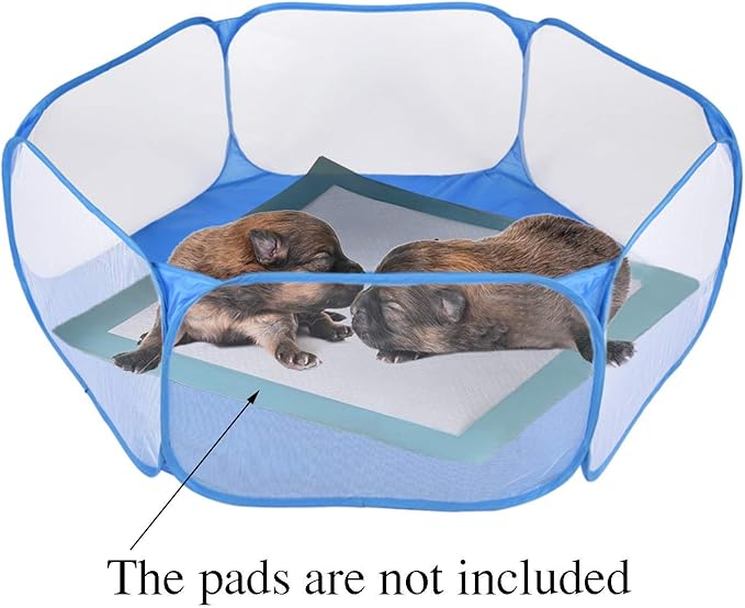 RYPET Guinea Pig Playpen - Breathable & Transparent Pet Playpen Pop Open Outdoor/Indoor Exercise Fence, Portable Yard Fence for Guinea Pig, Rabbits, Hamster, Chinchillas and Hedgehogs