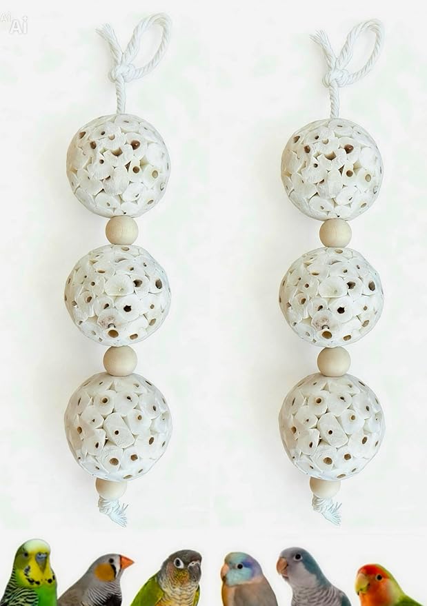 Shred and Destroy Bird Toy for Small Birds - Budgies, Lovebirds - Natural Sola Ball Hanging Chew Toy - 2 Pack - Boredom Buster Cage Toy
