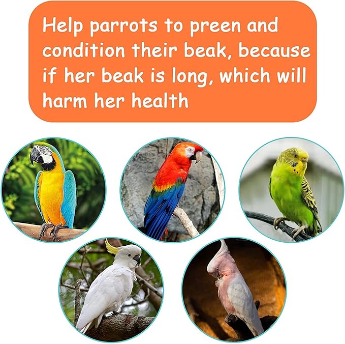 Kikerike Parrot Chewing Toy Bird Bite Toy with Colorful Wood Beads, Multicolored Natural Wooden Block Cage Toys for Macaw Cockatoo Parakeets