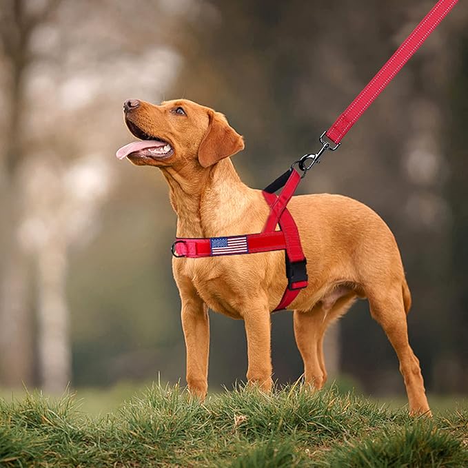 Annchwool No Pull Dog Harness with Padded Handle+5 Ft Leash,Reflective Strip Escape Proof and Quick Fit to Adjust Dog Harness,Easy for Training Walking for Small & Medium and Large Dogs(Red-Set,S)