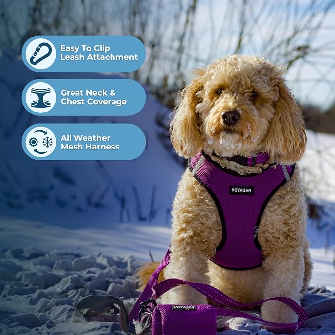 Best Pet Supplies Voyager Step-in Air All Weather Mesh Harness and Reflective Dog 5ft Leash Combo with Neoprene Handle, for Small, Medium and Large Breed Puppies - Purple/Black Trim, Small