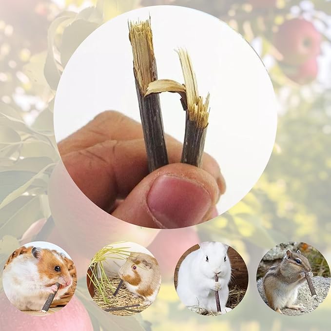 500g Apple Sticks Chew Toys for Small Pets, Perfect for Rabbits Guinea Pigs Hamsters Chinchillas Gerbils and Squirrels, Great for Teeth Grinding and Snacks