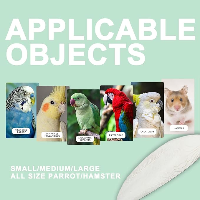 Natural Cuttlebone for Birds Parakeets Canaries Cockatiels Small Conures Mynahs Toucans African Greys All Parrots Snails Totoise, with Holder for Bird Cage (4-5 inch,2PCS)