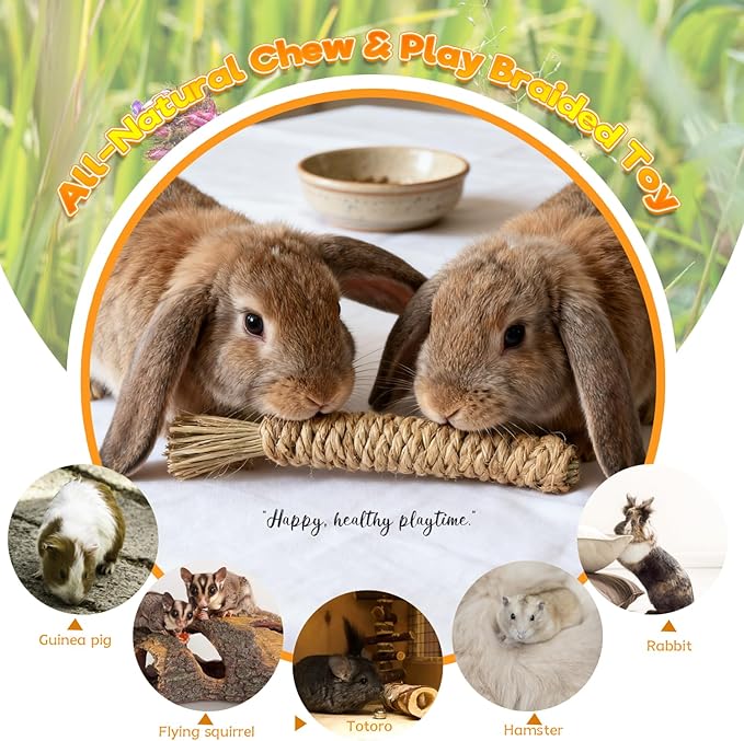 Rabbit Toys Bunny chew/Premium Guinea Pig Toys Natural Material Timothy Hay Sticks Apple Wood Sticks Handmade for Guinea Pig Hamster Rat Chinchilla