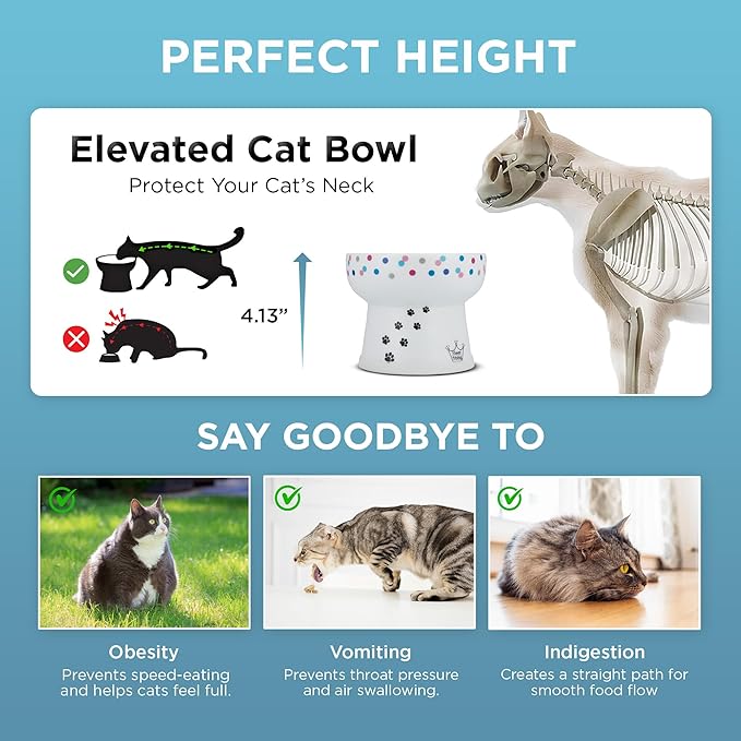 Necoichi Elevated Cat Water Bowl – Ceramic Raised Cat Bowl, Prevents Neck & Whisker Fatigue – Dishwasher & Microwave Safe – Pet Water Bowl for Cats (Colorful Dots, Extra Tall)