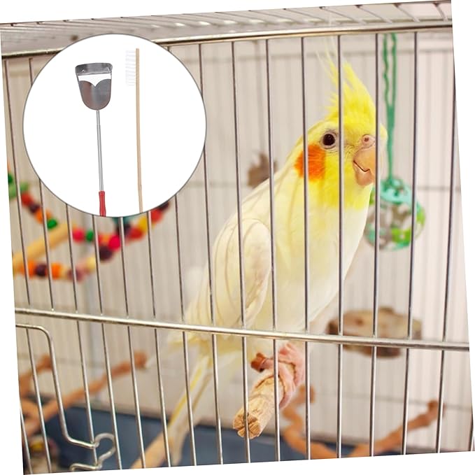 DOITOOL 6pcs Bird Cage Cleaning Tool Set Parrot Cage Brush and Shovel for Easy Cleanup Daily Use for Pet Owners and Convenient Supplies for Environment