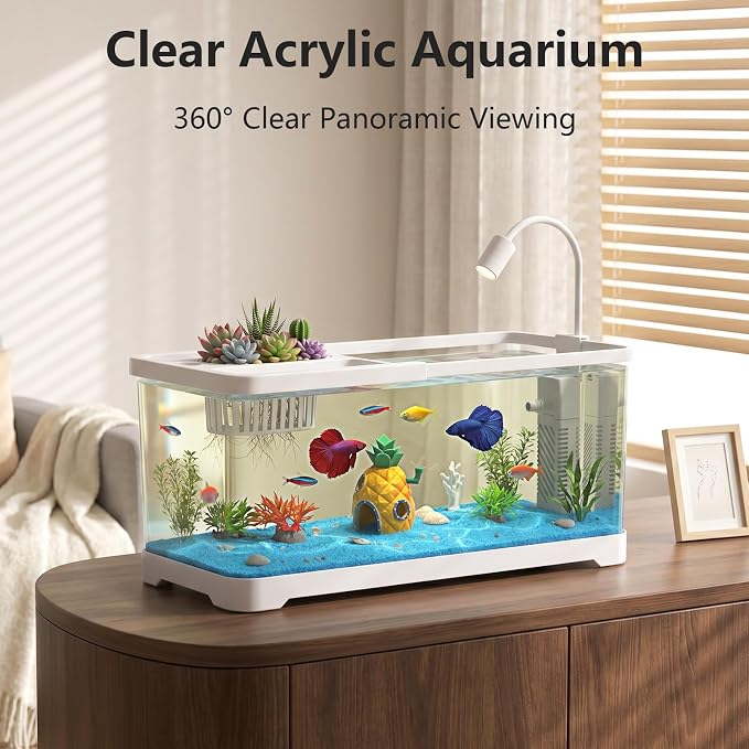 5 Gallon Fish Tank Aquarium Starter Kit with Filter and Light, All in One Small Fish Tank for Betta, Kids & Desktop Use, Self Cleaning Nano Aquarium with Lid(Large White)