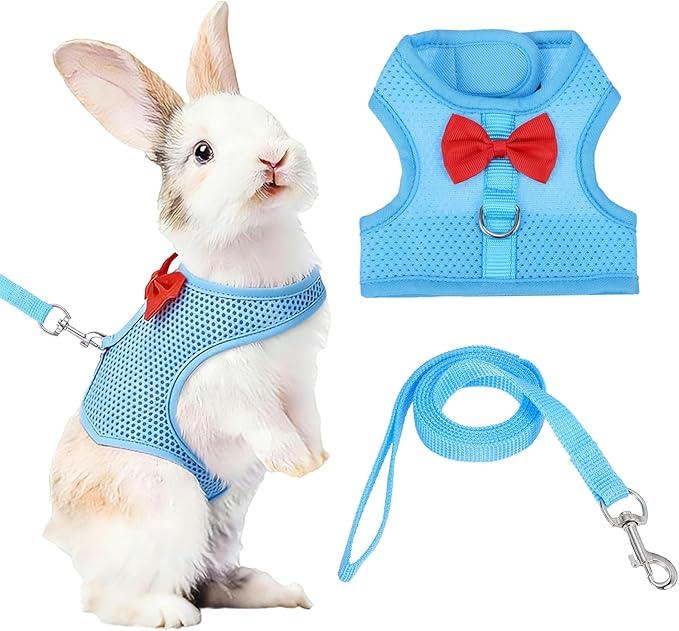 Rabbit Harness and Leash, Small Pet Cute Vest Harness Leash Soft Adjustable Buckle Breathable Mesh (M, Sky Blue) for Bunny Kitten Small Pig Puppies Camping Hiking Training