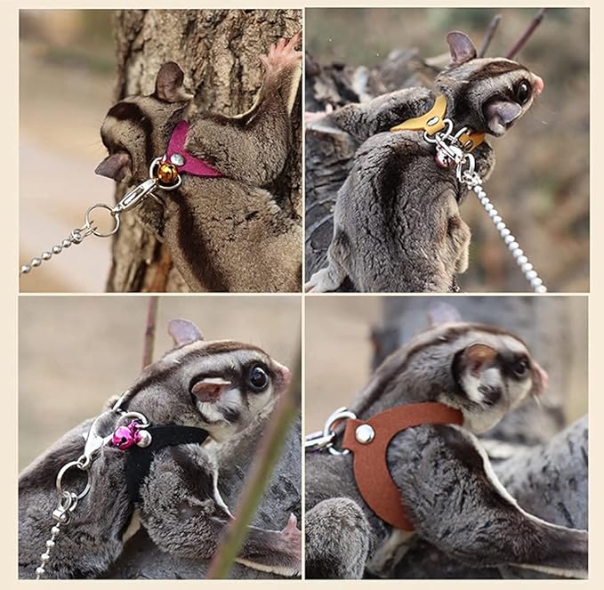 3 Pack Sugar Glider Harness and Leash Set - Adjustable Traction Rope Strap Anti-Biting Chain Rope, Small Animal Training Walking Vest Leash for Sugar Glider Squirrel Hamster Rat Birds Reptile (Brown)