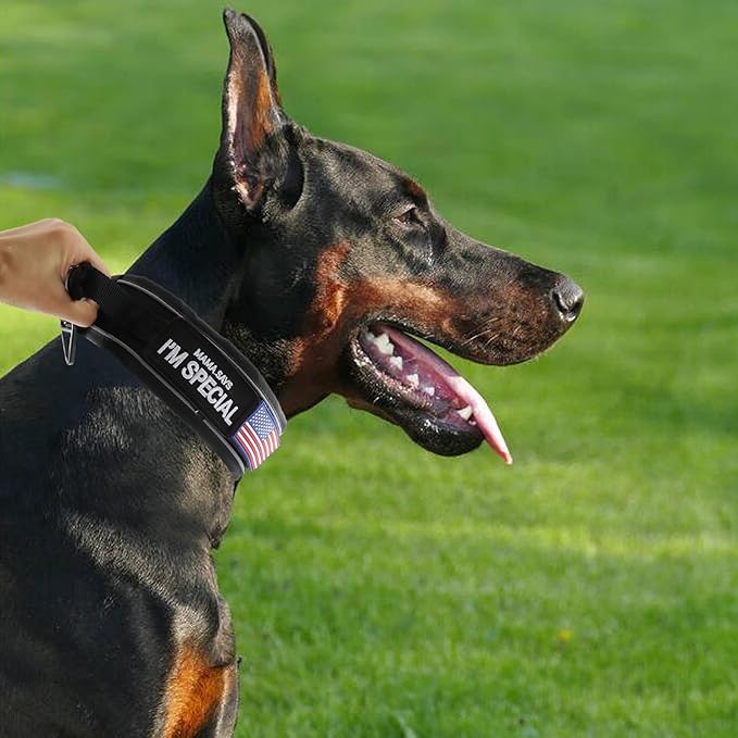 2.5" Tactical Dog Collar for Large Dogs, Adjustable Heavy Duty Military Nylon Dog Collar with Reflective Stitching & Padded Handle for Hiking/Running/Training (Black, L,XL)