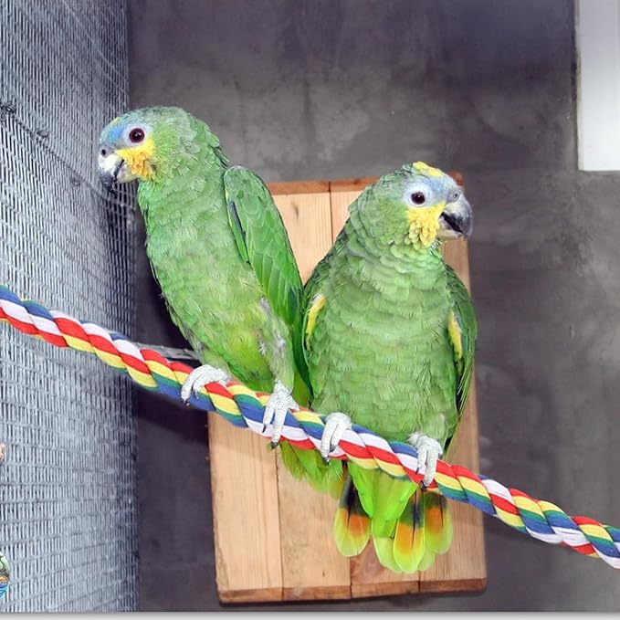 iplusmile Parrot Rope Perch 31.5 Inch Durable Cotton Climbing Toy for Birds Cage Chew Toy for Large Parrots Budgies Cockatiels and Conures Stress Relief and Exercise Accessory