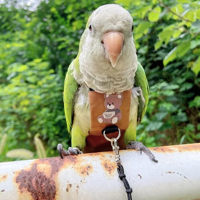 Bird Diaper Harness Flight Suit Clothes, Parrot Flight Suit with Leash for Parrot, Bird Flying Clothes with Rope and Handle for Outdoor Activities Training (Sun Conure,with Leash)