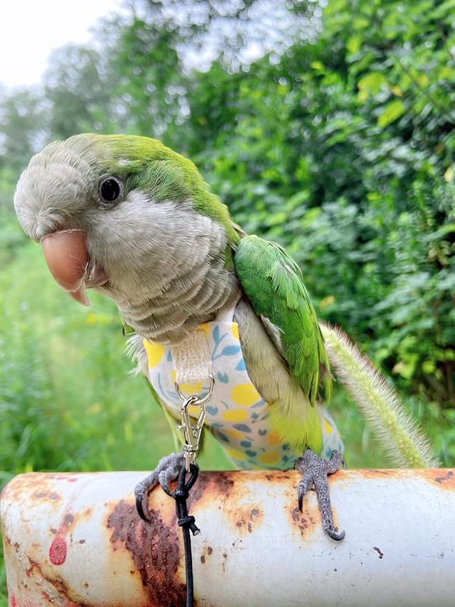 Bird Diaper Harness Flight Suit Clothes, Parrot Flight Suit with Leash, Bird Flying Clothes with Rope and Handle for Outdoor Activities Training (Yellow with Leash,Medium)