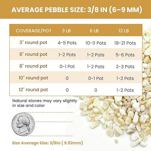 3/8 Inch Polished Decorative Pebbles, River Rocks for Indoor Plants, Succulents, Planters, Vases, Fish Tank, Aquarium Gravel & Landscaping (Cream Beige, 6LB)