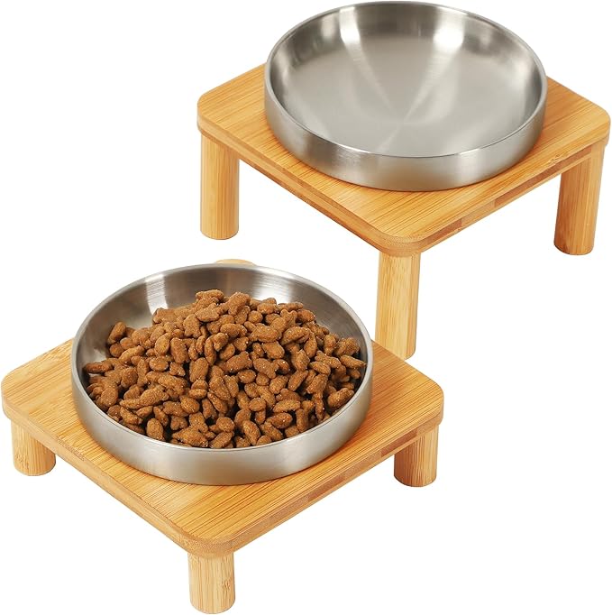 DoogCat Elevated Cat Bowls for Indoor Cats – Raised Bamboo Cat Bowl Stand with 5.5 Inch Wide Stainless Steel Dishes, Pet Food Table Plate for Easy Feeding, Whisker Friendly(Silver,Set of 2)